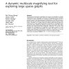 A dynamic multiscale magnifying tool for exploring large sparse graphs