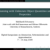 Abstract Planning with Unknown Object Quantities and Properties