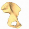 Atlas-assisted tomography: registration of a deformable atlas to compensate for limited-angle cone-beam trajectory
