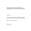 Binary and nonbinary description of hypointensity in human brain MR images