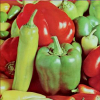 Color image segmentation based on automatic morphological clustering