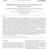Debugging strategies and tactics in a multi-representation software environment