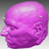 Delaunay Deformable Models: Topology-Adaptive Meshes Based on the Restricted Delaunay Triangulation