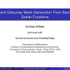 Efficient Delaunay Mesh Generation from Sampled Scalar Functions