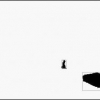 Extraction and Clustering of Motion Trajectories in Video
