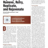 Fighting Bugs: Remove, Retry, Replicate, and Rejuvenate