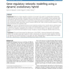 Gene regulatory networks modelling using a dynamic evolutionary hybrid