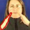 Geodesic active regions for segmentation and tracking of human gestures in sign language videos