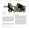Hair self shadowing and transparency depth ordering using occupancy maps
