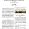 Head-size equalization for better visual perception of video conferencing