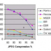 Illumination and Affine- Invariant Point Matching using an Ordinal Approach