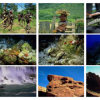 Multi-Label Sparse Coding for Automatic Image Annotation