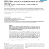 Impact of RNA structure on the prediction of donor and acceptor splice sites