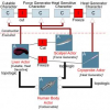 Interaction-Centric Modelling for Interactive Virtual Worlds: The APIA Approach
