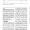 LOTUS, a new domain associated with small RNA pathways in the germline