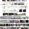 Motion-Based Video Representation for Scene Change Detection