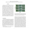 Multilinear Feature Extraction and Classification of Multi-Focal Images, With Applications in Nematode Taxonomy