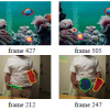 Adaptive Fragments-Based Tracking of Non-Rigid Objects Using Level Sets