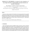 PARALLEL NEUROSYS: A system for the simulation of very large networks of biologically accurate neurons on parallel computers