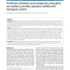 Prediction of breast cancer prognosis using gene set statistics provides signature stability and biological context