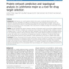 Protein network prediction and topological analysis in Leishmania major as a tool for drug target selection