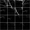 RASL: Robust Alignment by Sparse and Low-rank Decomposition for Linearly Correlated Images