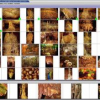 Retin al: an active learning strategy for image category retrieval