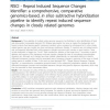 RISCI - Repeat Induced Sequence Changes Identifier: a comprehensive, comparative genomics-based, in silico subtractive hybridiza