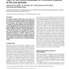 RMD: a rice mutant database for functional analysis of the rice genome