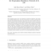 Robust Stability Analysis and Design Under Consideration of Multiple Feedback Loops in the Tryptophan Regulatory Network of E. c