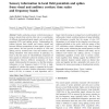 Sensory information in local field potentials and spikes from visual and auditory cortices: time scales and frequency bands