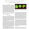 Skull-stripping with deformable organisms