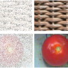 Tensor completion for estimating missing values in visual data
