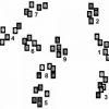 The Role of Featural and Configural Information in Face Classification A Simulation of the Expertise Hypothesis