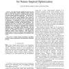 The Self-Organization of Interaction Networks for Nature-Inspired Optimization