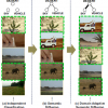 Domain Adaptive Semantic Diffusion for Large Scale Context-Based Video Annotation