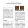 Video Based Palmprint Recognition