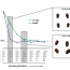 How far can you get with a modern face recognition test set using only simple features?